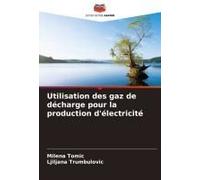 Utilisation Des Gaz De Décharge Pour La Production D'électricité