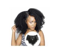Utilisation quotidienne Afro Kinky Curly Clip in Hair Extensions Human 8pcs 120g/set Brazilian Virgin Natural Ins for Black Women Color 8-24 Inch(22inches)
