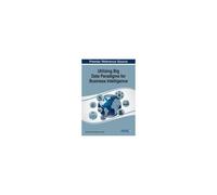 Utilizing Big Data Paradigms For Business Intelligence