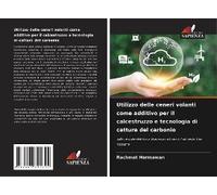 Utilizzo Delle Ceneri Volanti Come Additivo Per Il Calcestruzzo E Tecnologia Di Cattura Del Carbonio