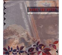 Under the Noise - of Generation & Corruption