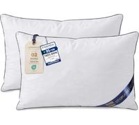 Utopia Bedding Coussin 30x50 cm Lot de 2, Coussins de Garnissage, Canapé Oreillers, Rembourrage Coussins, Intérieur Coussin Salon (Blanc)