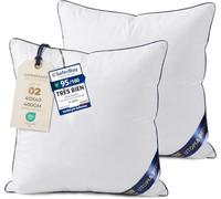 Utopia Bedding Coussin 40x40 cm Lot de 2, Coussins de Garnissage Blanc | Lot de 2 Coussins Garnissage Moelleux - Idéal pour le Canapé - Confort Durable - Polyvalent