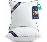 Utopia Bedding Coussin, Coussins de Garnissage, Canapé Oreillers, Rembourrage Coussins, Intérieur Coussin Salon (2, Blanc, 30x30 cm)