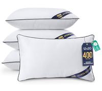 Utopia Bedding Coussin, Coussins de Garnissage, Canapé Oreillers, Rembourrage Coussins, Intérieur Coussin Salon (4, Blanc, 30x50 cm)