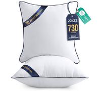 Utopia Bedding Coussin, Coussins de Garnissage, Canapé Oreillers, Rembourrage Coussins, Intérieur Coussin Salon (2, Blanc, 55x55 cm)