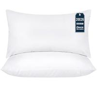 Utopia Bedding Coussins décoratifs d’intérieur pour Sofa, canapé et lit, Lot de 2, Blanc, 51 x 66 cm