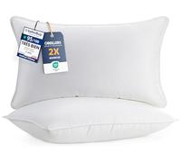 Utopia Bedding Oreillers 40x80cm Lot de 2, Coussins de Lit Blanc