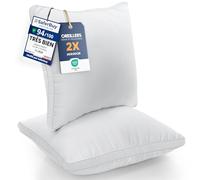 Utopia Bedding Oreillers 60x60 cm Lot de 2, Doux, Blanc