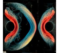 Various Artists - Utopia Or Oblivion [Import]