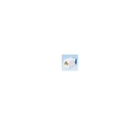 UTP RJ45 TG-MiniJack Cat6a Off White
