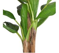 UU Plante Artificielle d’Intérieur/ Bananier artificiel avec pot - 175 cm Vert CHYCC77141366
