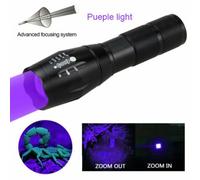 UV light USB rechargeable Lampe torche UV 365nm USB rechargeable Lampe torche ultraviolette Lumière noire Détecteur de mousse pour chat Chien Taches Punaises de lit Nourriture moisie ""Nipseyteko