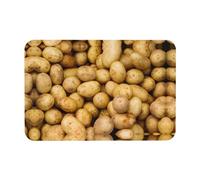 UVBDF Tapis de bain imprimé de pommes de terre de jardin, tapis de douche en terre de diatomée, tapis de bain super antidérapant pour salle de bain, tapis de maison