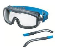 uvex i-guard+ 9143300 Lunettes intégrales gris, bleu