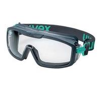 uvex i-guard+ planet 9143297 Lunettes intégrales gris, bleu G