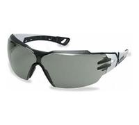uvex pheos cx2 9198 9198237 Lunettes de protection avec protection UV anthracite G