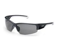 uvex UVEX Lunettes de protection confort uvex polavision, Teinte des verres: POLAR Quantité:1