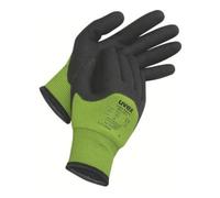UVEX SAFETY Gloves GmbH & Co. KG uvex Gant de protection unilite thermo plus cut c Taille 11 Quantité:10