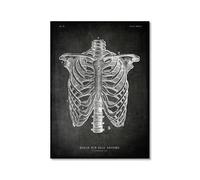 Œuvre d'art vintage d'anatomie humaine - Peinture sur toile d'éducation médicale - Squelette humain Cage Cerveau Cœur Anatomie Poster pour hôpital clinique Décoration d'intérieur (SKU28 x 35 cm), sans
