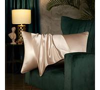 uwenin Home Taie d'oreiller de luxe en soie de mûrier 19 momme douce et respirante pour éviter les rides du visage Fermeture éclair dissimulée 100 % pure soie naturelle (champagne, Standard )