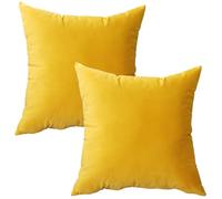 UWOBTN Housse de Coussin Canapé 50x50 60x60 70x70 80x80cm Velours Taie d'oreiller 50x70 40x60 Doux Carré Rectangulaire Couverture Oreiller Canapé Decoration(H,60x90 cm Set of 2)