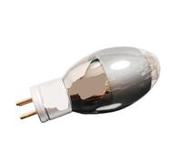 UWUKCJOKQ Amplificateur Audio à Tube sous Vide 2A3 E2A3/RCA2A3/WE2A3(2pcs Matched Pair)
