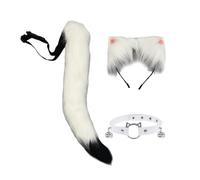 UxicRuya et Ensemble de Queue avec Ensemble de Costume de Cosplay pour Le Spectacle, Style E