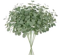 UXORSN 6Pcs Branches et Feuilles D'eucalyptus Plantes Artificielles 70cm Vert Eucalyptus Tiges Feuillage Artificiel Fausse Plante Interieur pour Decoration Maison Mariage Cuisine Composition Florale