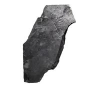 UYCUODLUY 1 pièce de 510 à 600 g shungite brute non polie for la décoration
