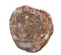 UYCUODLUY 1 pièce de 700 à 800 g tranche pierre d'arbre, minerai cristal quartz, démagnétisation décorative