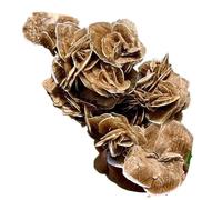 UYCUODLUY 1pc 100-200g sélénite désert rose cristal cluster pierre précieuse décoration de chambre et bureau