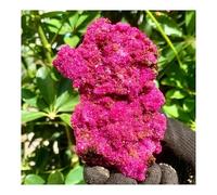 UYCUODLUY 1pc 4-7cm corindon rouge brut accessoire de mode