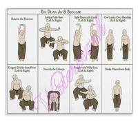 UYCUODLUY Baduanjin Exercise Chart Poster Eight Brocades Movements Sitting Standing Version Home Gym Wall Hanging(Unframed,16x24inch(40x60cm))