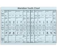 UYCUODLUY Health Meridian Tooth Chart Educational Poster Wall Decoration Canvas Art for Hospital and Clinic Environments(Unframed,16x24inch(40x60cm))