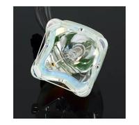 UYeLKm Ampoule de projecteur compatible avec ET-LAC75 PT-LC55U PT-LC75E PT-LC75U PT-U1S65 PT-U1X65 TH-LC75 PT-LC55E avec boîtier(ET-LAC75-CB)