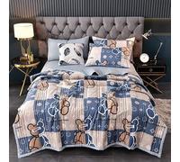 uyeoco Couette D'été, Couverture D'été Fraîche, 100% Coton Lavé, Courtepointe Fine, Douce Et Confortable, Légère Et Respirante, Lavable en Machine, (Color : T, Size : 100x150cm)