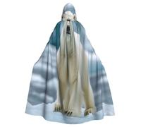 UYHhgqw The Gaze Of A Polar Bear Costume de sorcière d'Halloween - Cape à capuche pour homme et femme - Costume d'horreur d'Halloween - Costume de cosplay