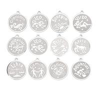 UYSTDMXKA Ensemble de 12 pendentifs en acier inoxydable représentant les signes du zodiaque pour collier, bracelet et bijoux DIY, comprenant tous les 12 breloques astrologiques avec une fini