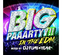 V.A. - Big Paaartyy!! in the Edm Mixe [Import allemand]