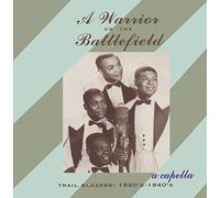 V.a. Blues - Warrior on the Battlefield
