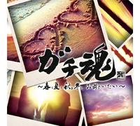 V.A. - Gachi Tamashii-Haru Mo Natsu M [Import allemand]