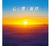V.A. - Kokoro Ni Hibiku Senritsu [Import allemand]
