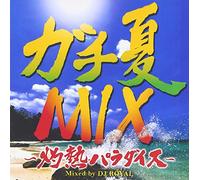 V.A. - V.A. - Gachi Natsu Raggae 2 Shakunetsu Paradise Mix Mixed By DJ Royal [Japan CD] STARL-4