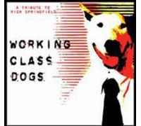 V/A - Working Class Dogs: Tribute to Rick Springfield