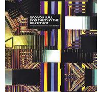 V/A - You Will Find Them in The Basement