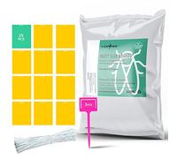 V-CATCHER Lot de 25 pièges à mouches à fruits, jaunes, adhésifs pour moucherons fongiques et mouches blanches à l'intérieur et à l'extérieur, pour attraper les pucerons, les moustiques, les punaises