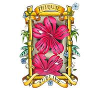 V - Look at All The Love We Found [Import]