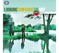 V - Looking to ARDS The Sky-Ember Rock