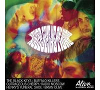 V - Never Give Up on Your Hallucination